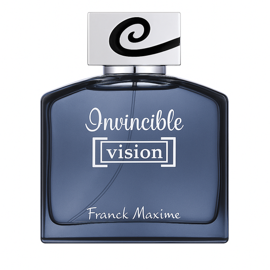 Vision Invincible - EDT - 100 ml - Men