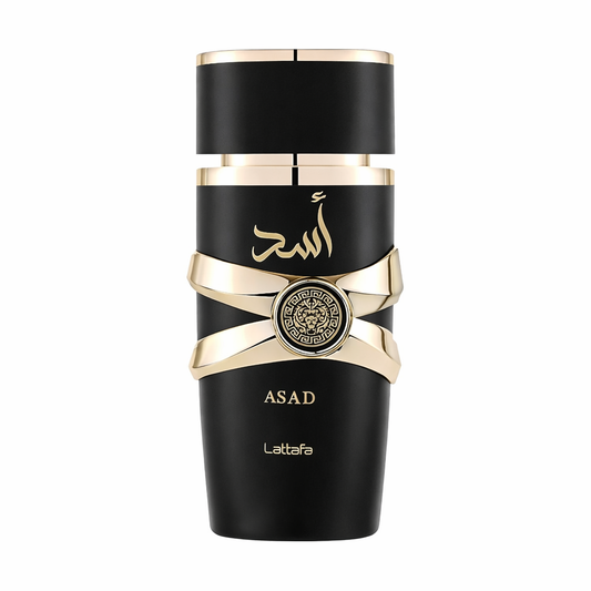 Asad - EDP - 100 ml - Men